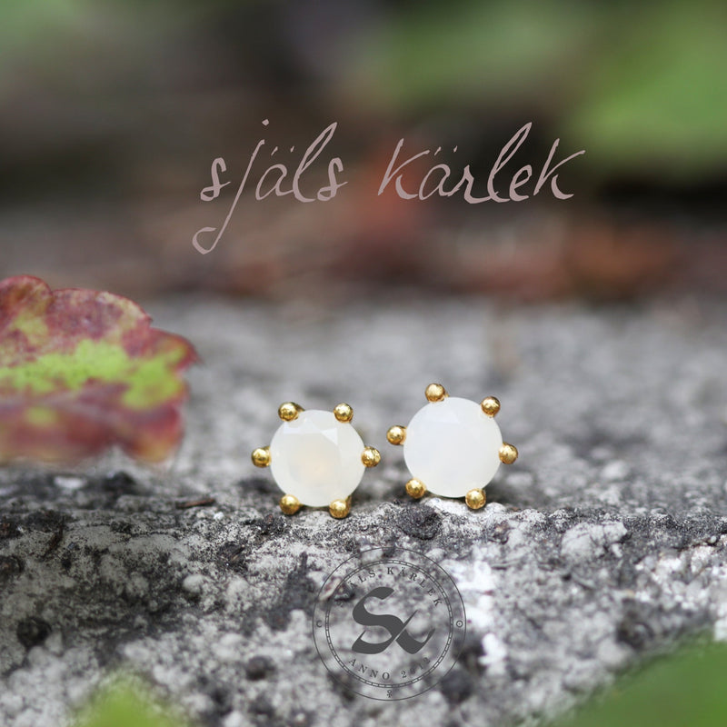 June Birthstone Earrings in Moonstone