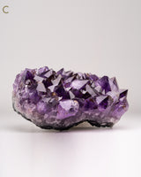 Exclusive Amethyst Clusters