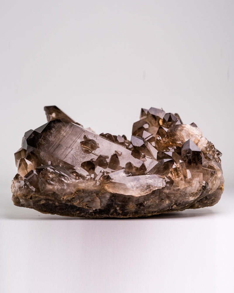 Smoky Quartz Clusters