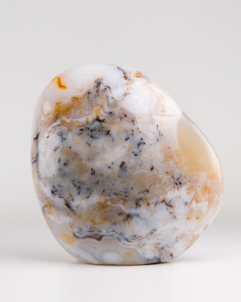 Dendritic Agate Freeform