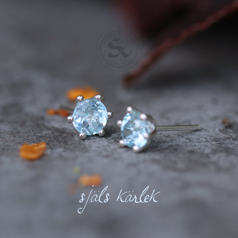 December Birthstone Earrings in Blue Topaz